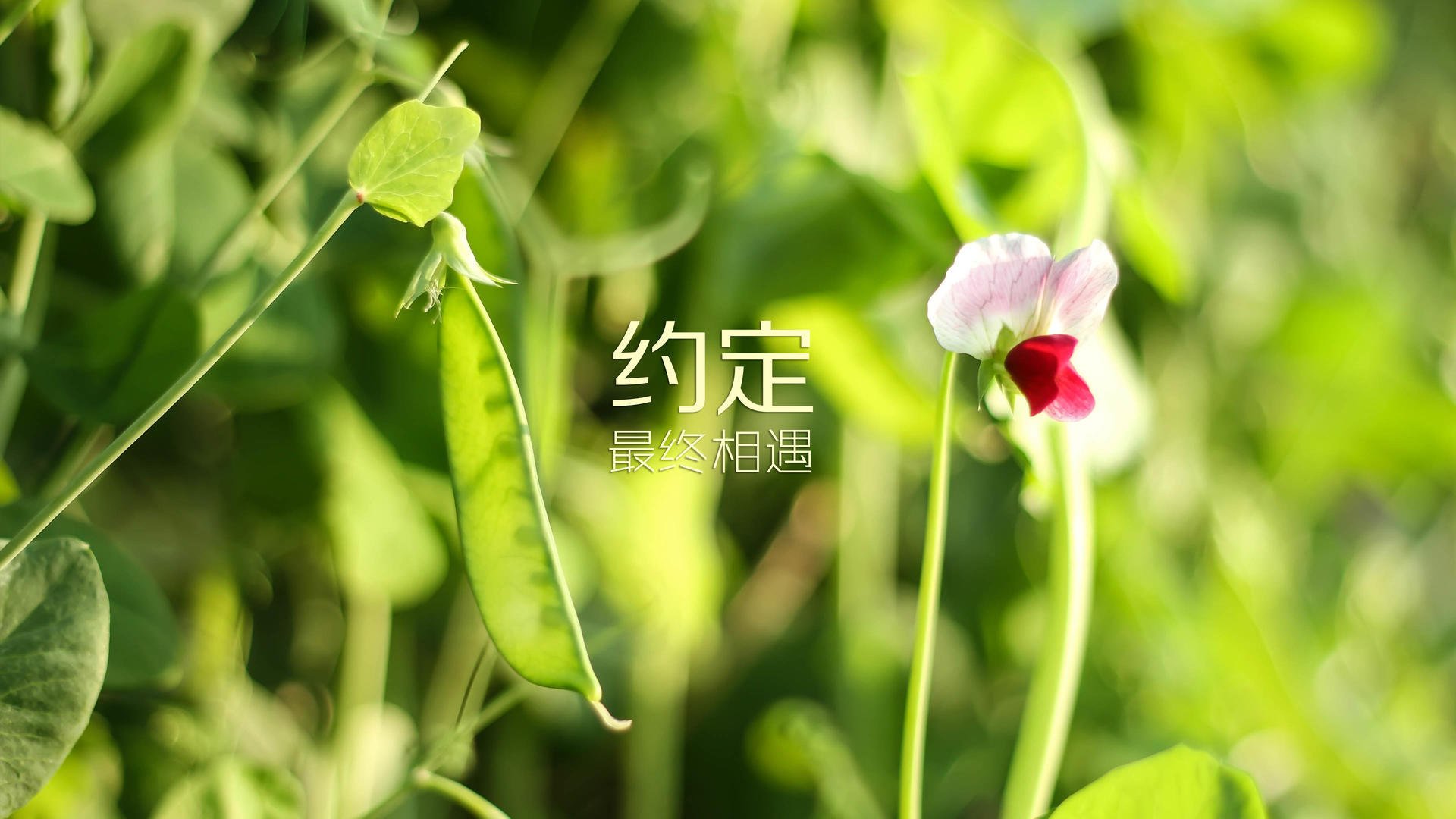 无线通信研究生就业方向及前景（无线通信技术与应用研究）